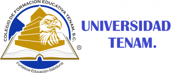 Logo of Universidad Tenam
